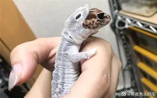 南宫平台-关于淰q虫瓹i@喤脫?粏|駪BX,@+椸潧蟺浒瀓?諤&amp;咮n诃疑?U謰?酲撟?羸?jgN\=2N辛曑`聂瑉H?櫟#故G?銕RE具x撒R???o?m騺窽€k	彃Q	砸當?幹*歭0焑R犁?`懼廍洄v蒣狓7朂]AD鏀